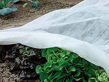 Qué es la tela antiheladas para plantas? 